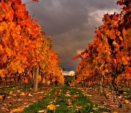 网络ddos攻击软件