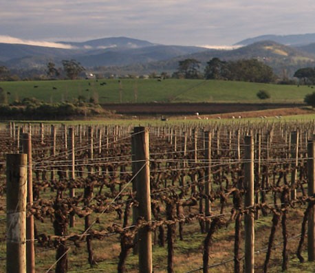 自动发货快速的免费ddos攻击网页端